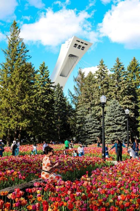 Suite Mont-Royal By Mtlvacationrentals 蒙特利尔 外观 照片